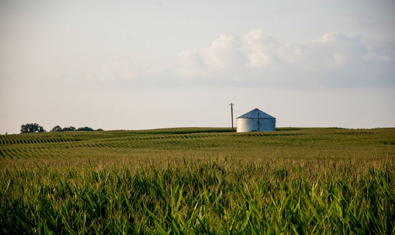 Silo auf Feld