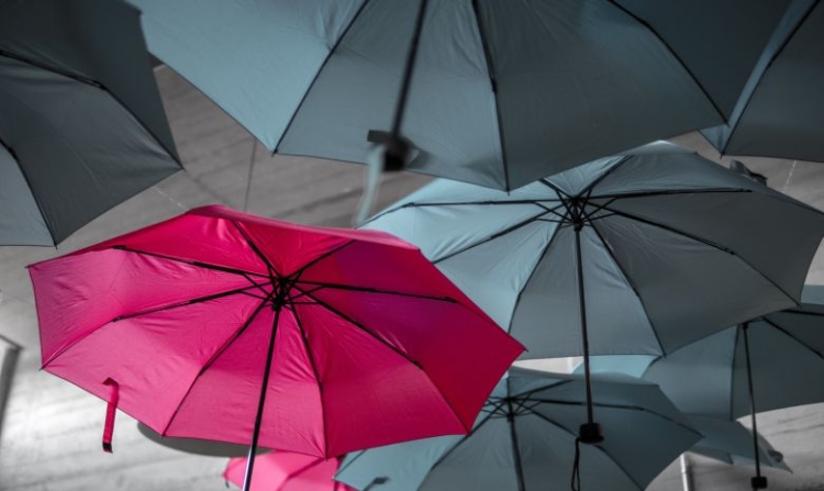 rosa Regenschirm unter grauen