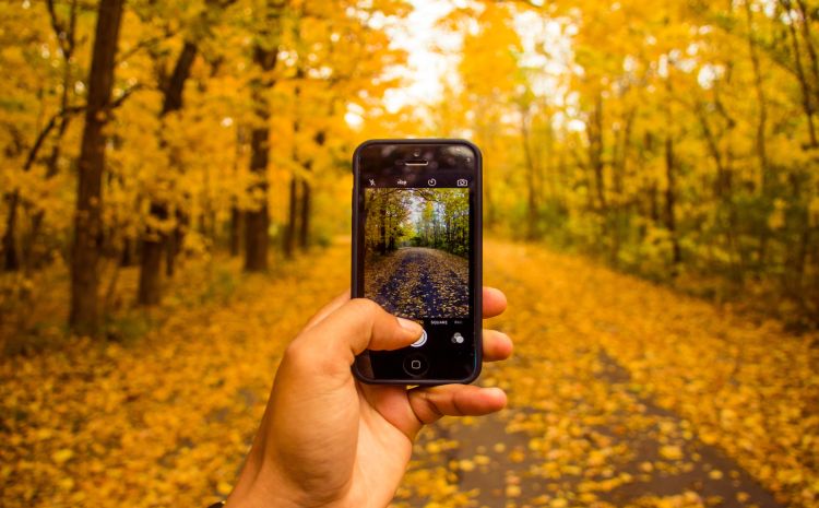 Mit Handy im Herbstwald