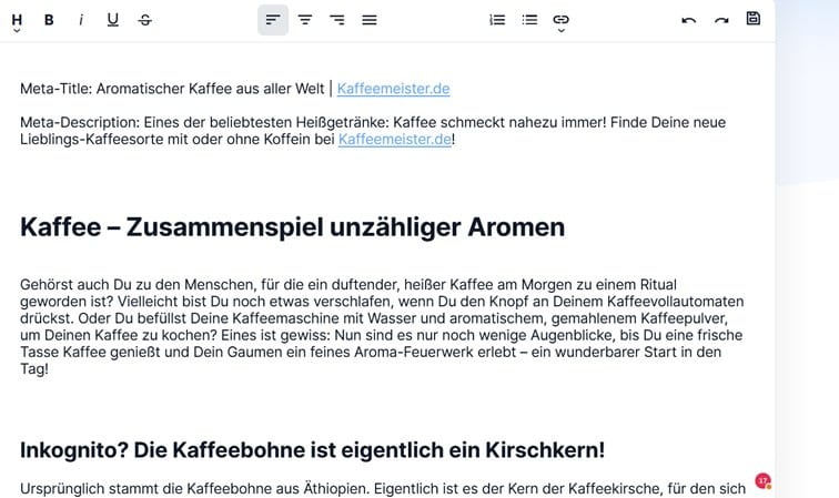 Screenshot eines Textbeispiels in der Eingabemaske